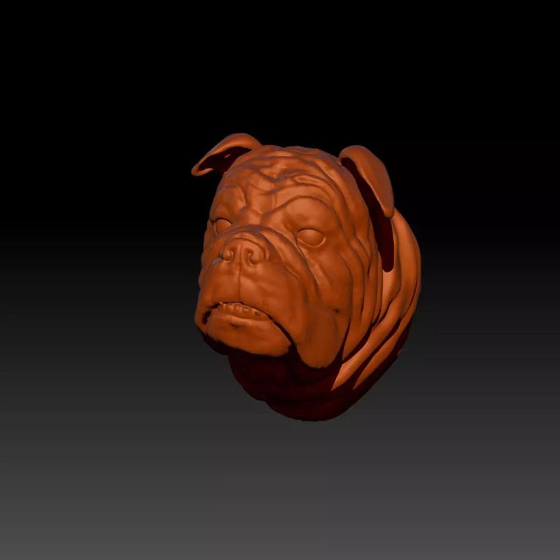 Bulldog Bust