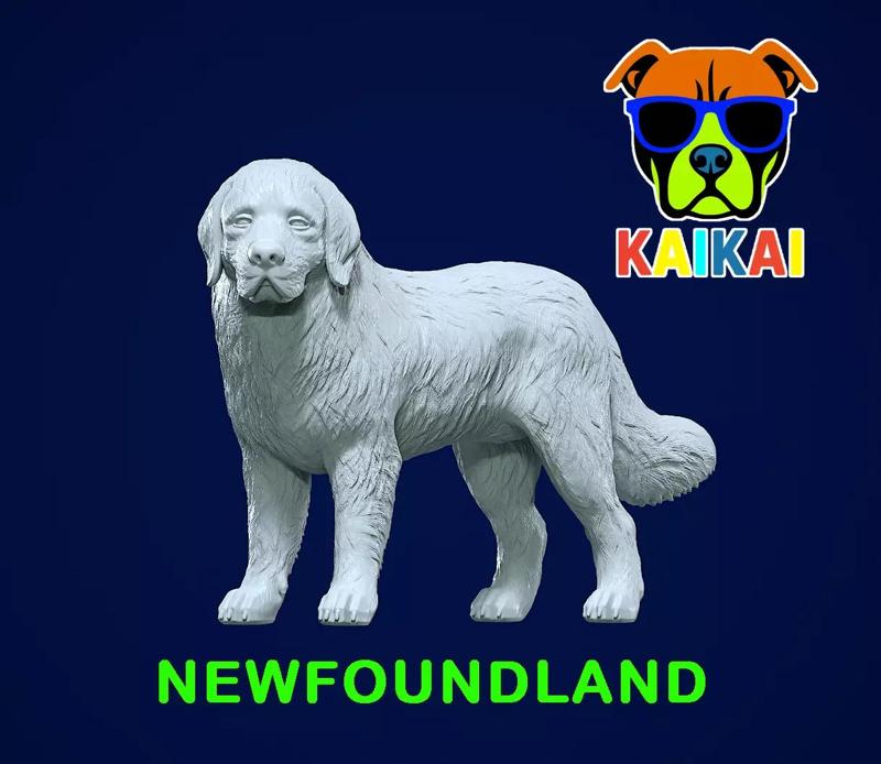 Newfoundland dog - Newfie dog model - 3D print