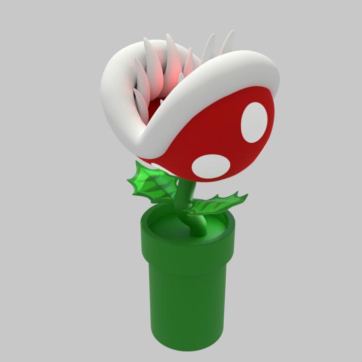 Organizer in the form of Plants from the game Super Mario