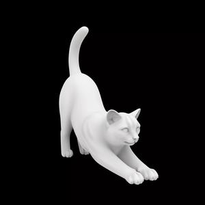 Playful Cat Stretch