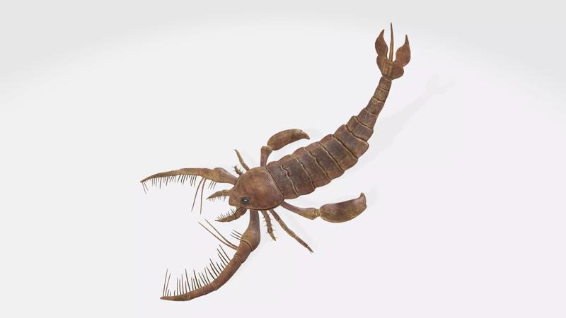 Prehistoric Sea Scorpion Figure for 3D Printing