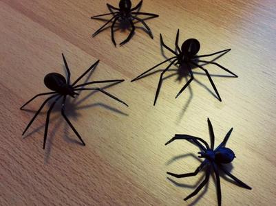 Black Widow spider hallowen scary