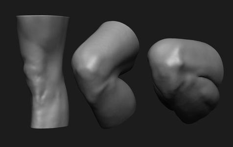 Knee Set Anatomy Reference
