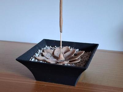 Incense stick lotus holder + bowl