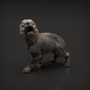 Wolf Pup