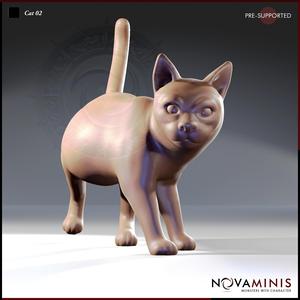 Cat 02