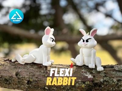 flexi rabbit