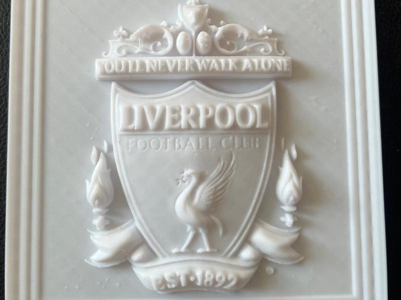Liverpool Framed Relief