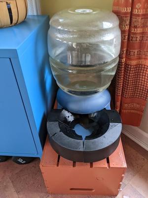 Dog Water Drip Cover