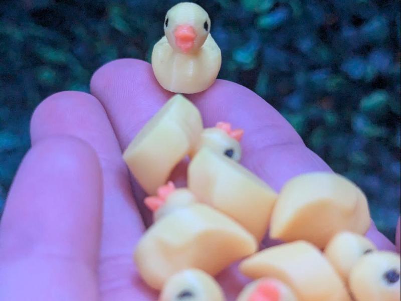 Cute Tiny Duckssss