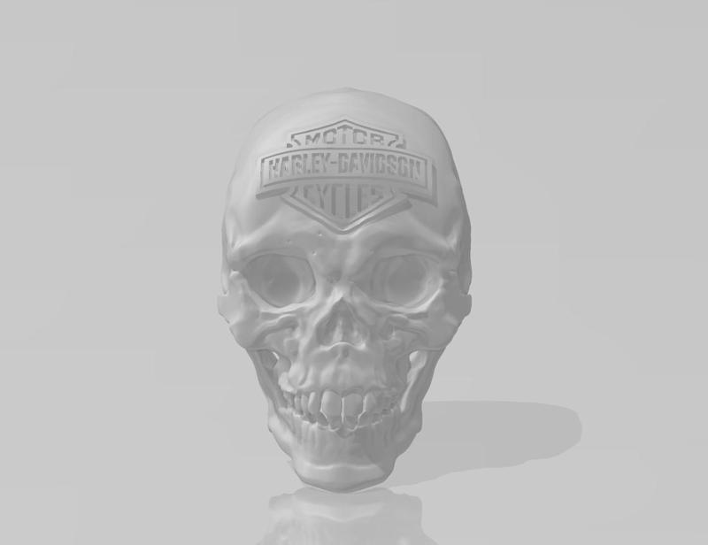 harley davidson skull