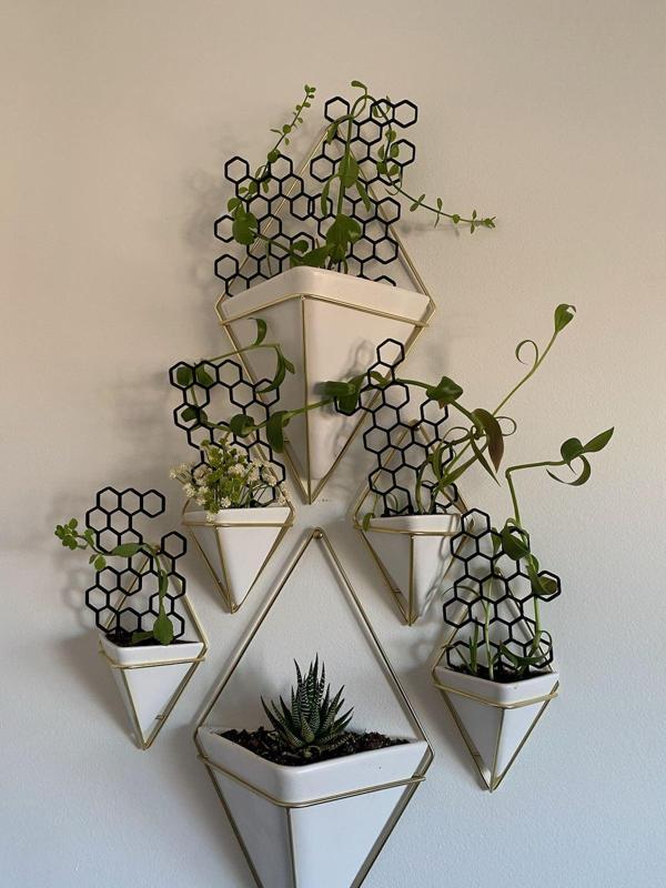 Hexagonal Plant Trellis