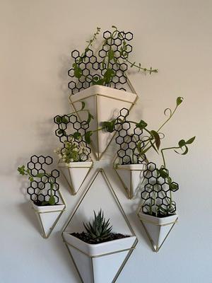 Hexagonal Plant Trellis