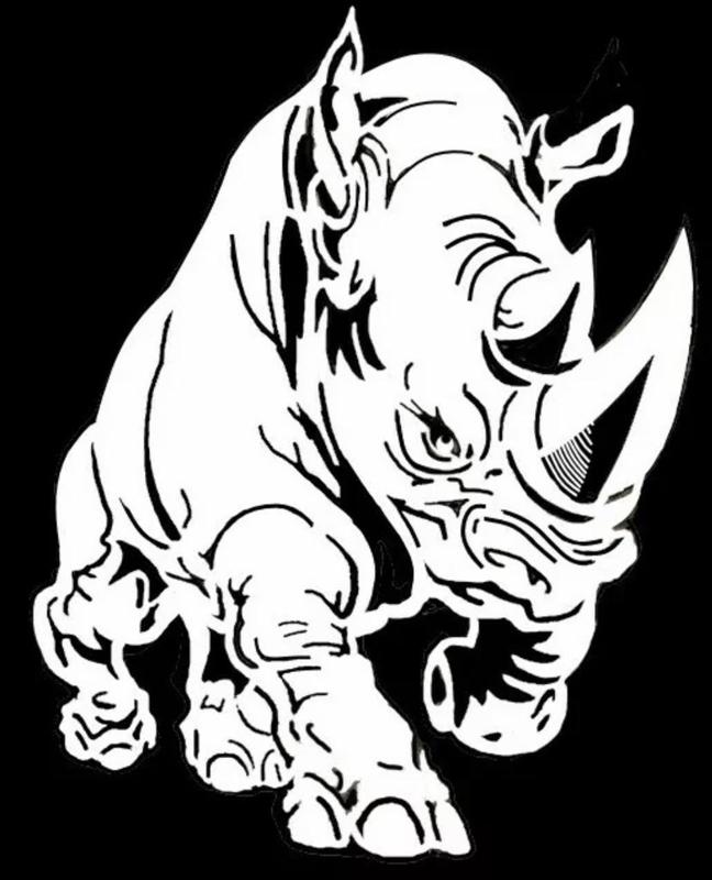 2D Rhino