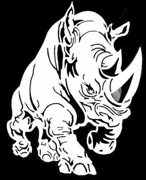 2D Rhino