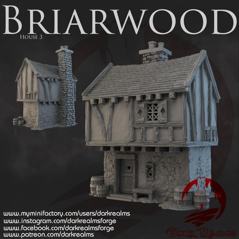 Dark Realms - Briarwood - House 3