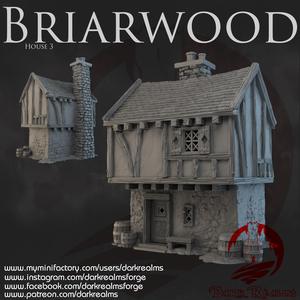 Dark Realms - Briarwood - House 3