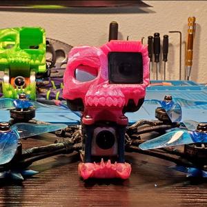 Gopro Hero 8 skull 