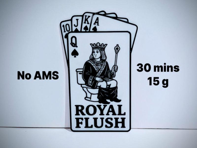 Royal Flush Bathroom Sign (Queen)