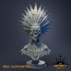 Chaman Skull Bust