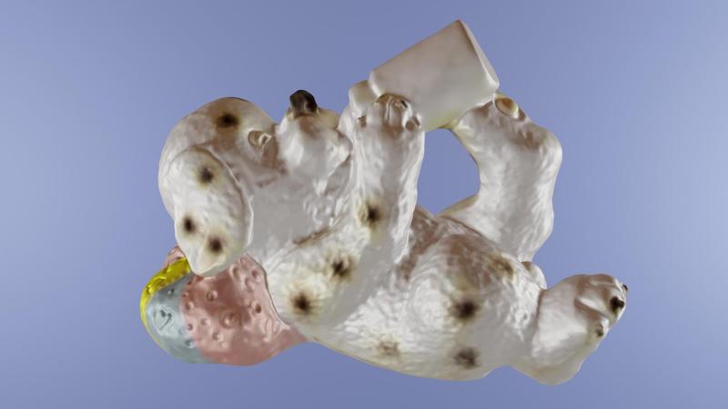 CHIEN DALMATIEN BIBERON