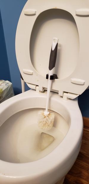 Toilet Brush Drying Hook
