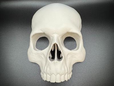 Wall Mounted Realistic Skull