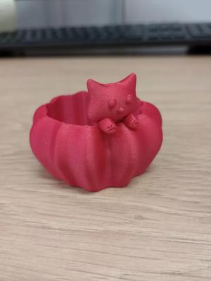 Cat bowl pumpkin FIXED