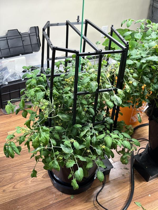 Autopot Modular Trellis