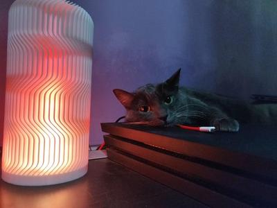 Yeah lamp + Gyver lamp remix