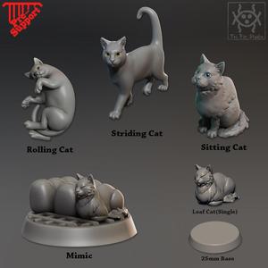 Companion Cats pack