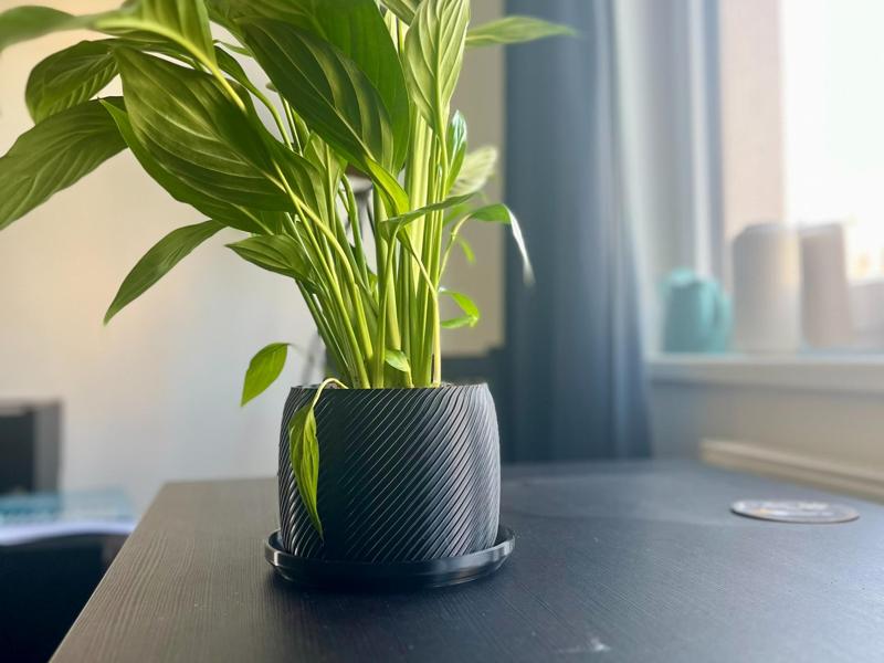 Flower Pot with plate _max size for A1 mini