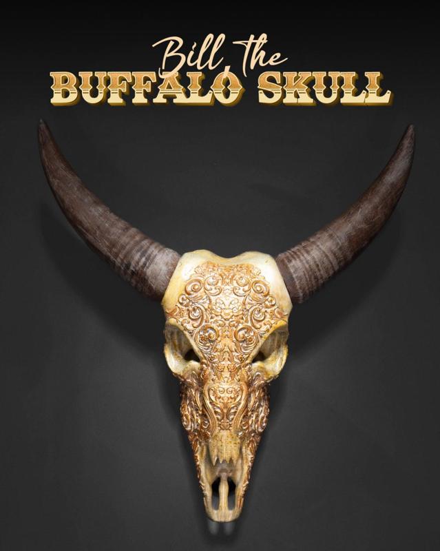 Bill, the Buffalo Skull