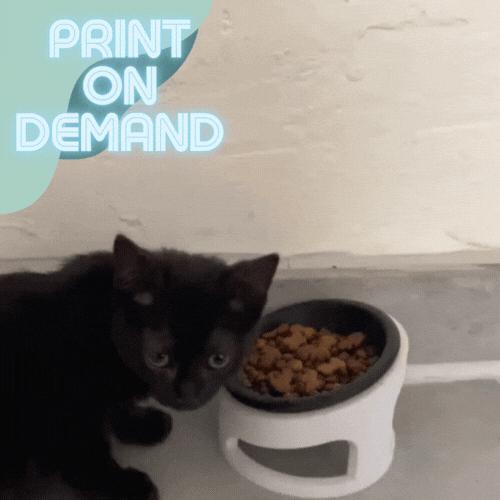 CAT CUP - GAMELLE CHAT