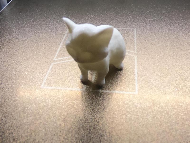 little sweet cat/katze