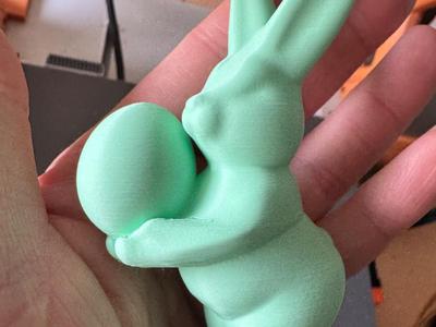Proud Easter Bunny presenting his Easter egg