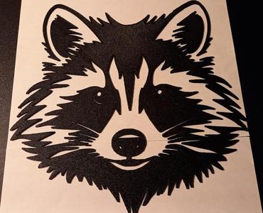 Racoon Head