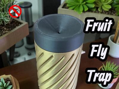 Fruit Fly Trap