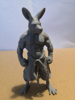 Kangaroo Chimera
