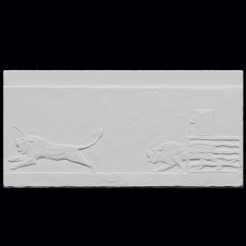 Lion is released from a cage