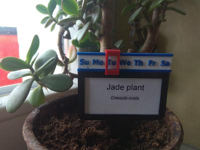 tag with an indicator of the last watering