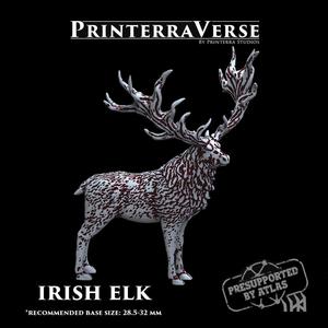 004 ANIMAL Irish Elk