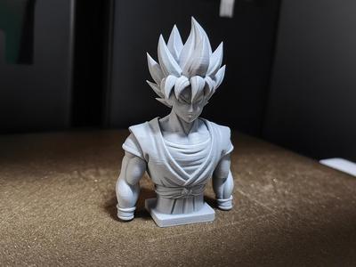 Bust Goku