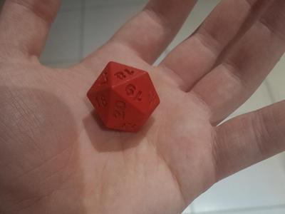 D20 100% infill 0.08mm layers