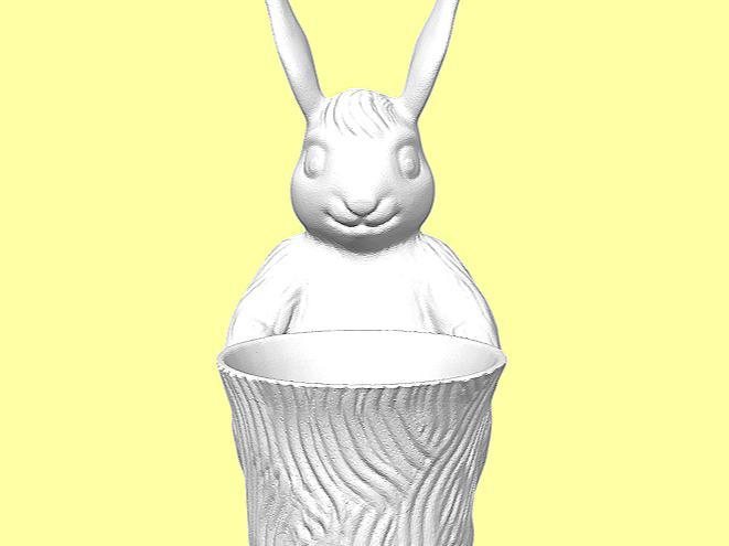 Easter Bunny Egg Holder