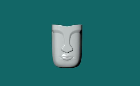 face vase for plants of flowers