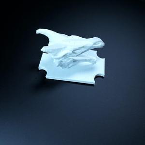 Dragon Skull ornament