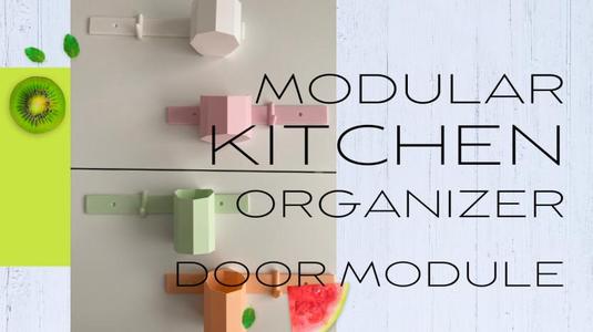 Modular Kitchen Organizer (Door Module, Customizable)