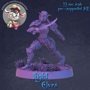Night elf girl attack armored female