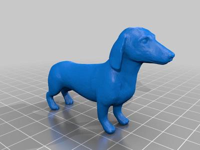 1:9 Dachshund